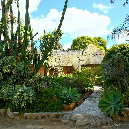 Entabeni Lodge بولاوايو المظهر الخارجي الصورة